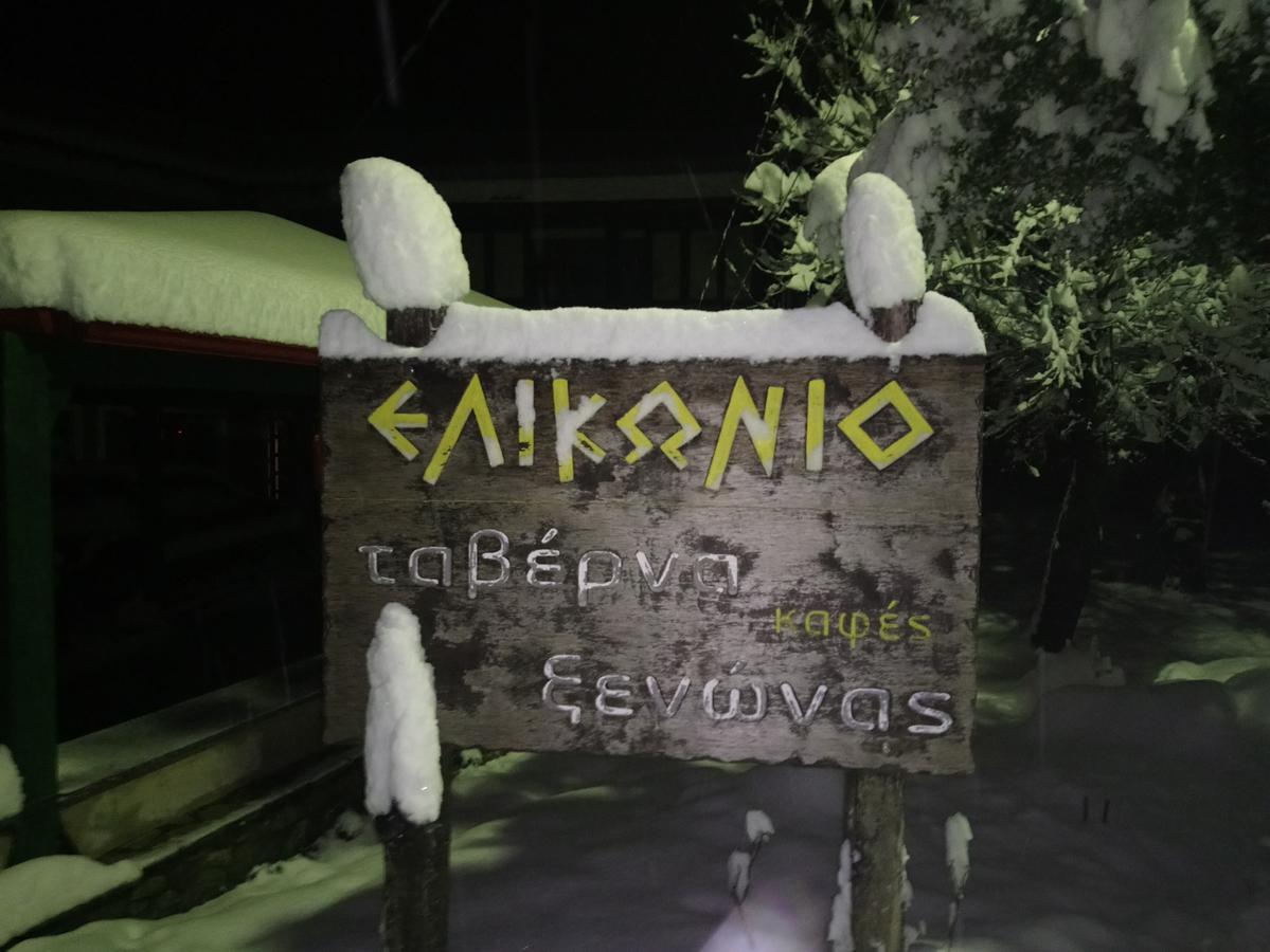 ホテル Elikonio アギア・アンナ エクステリア 写真